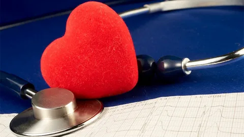 Vascular em Atibaia - Clínica JCG Clínica de Cardiologia em Atibaia